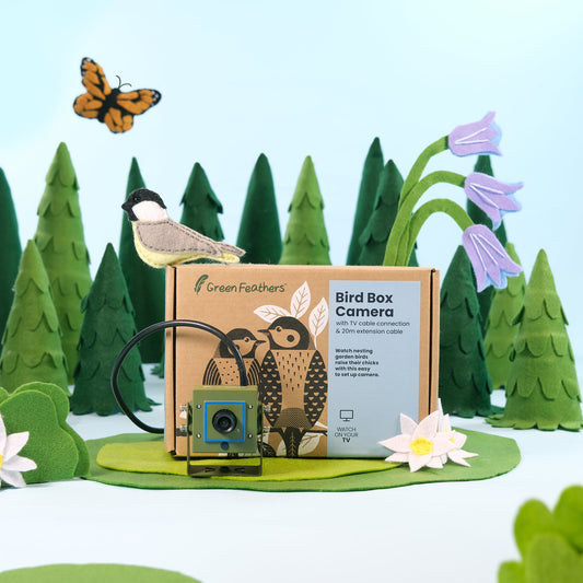 Green Feathers Cable Connection Bird Box & Wildlife Camera