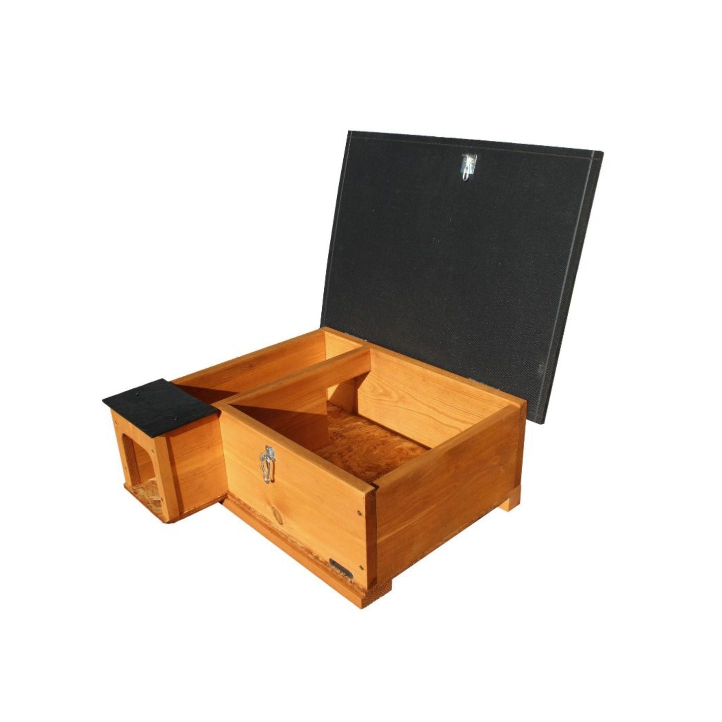 Green Feathers Golden Brown Hedgehog House