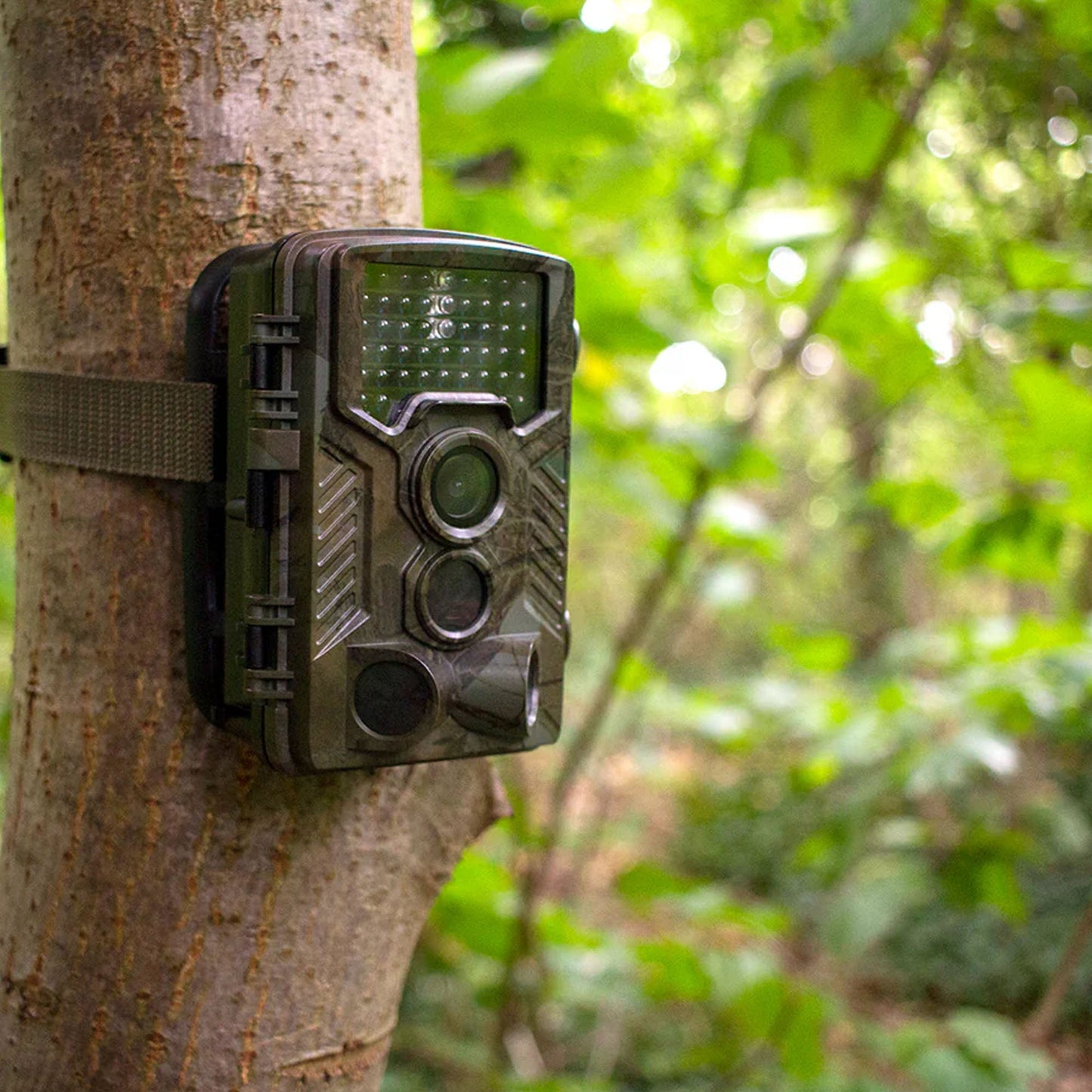 Green Feathers Garden Wildlife Trail Camera HD