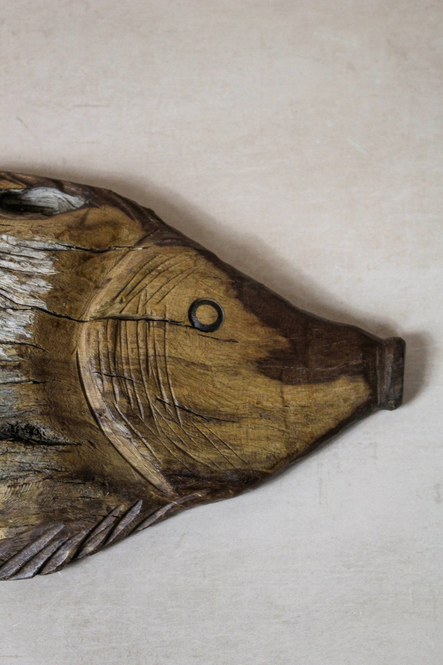 Driftwood Hand Carved Fish - 116.9 by Botanical Boys