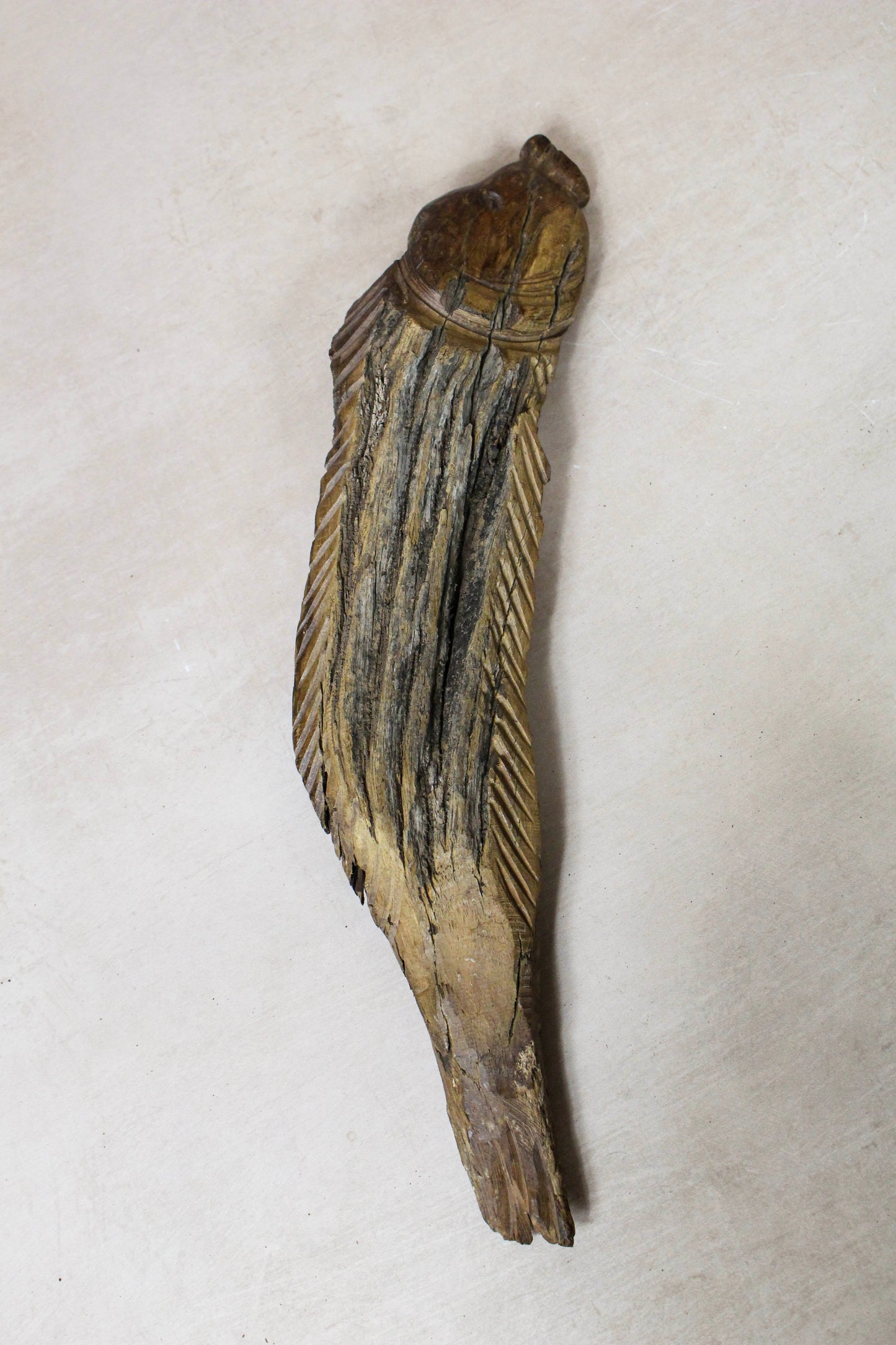 Driftwood Hand Carved Fish - 116.13 by Botanical Boys