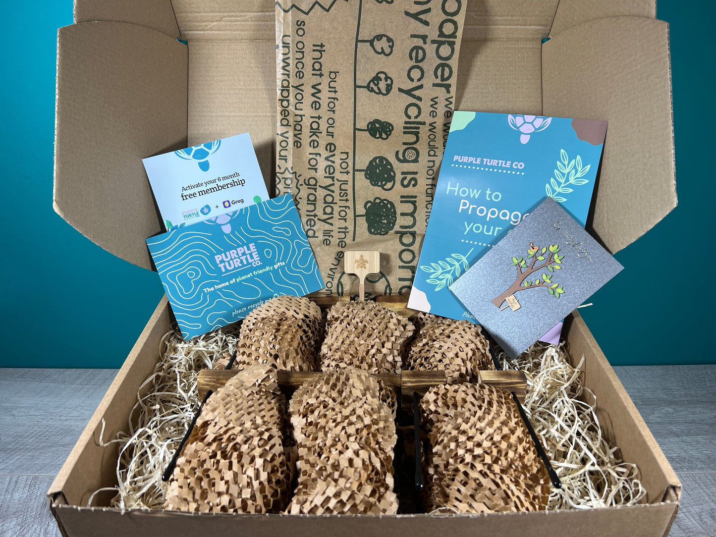 Plant Propagation Gift Set #3