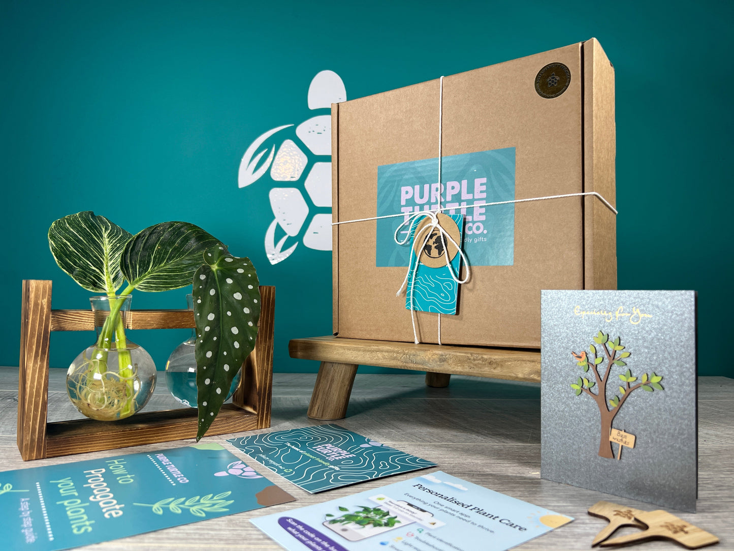 Plant Propagation Gift Set #5