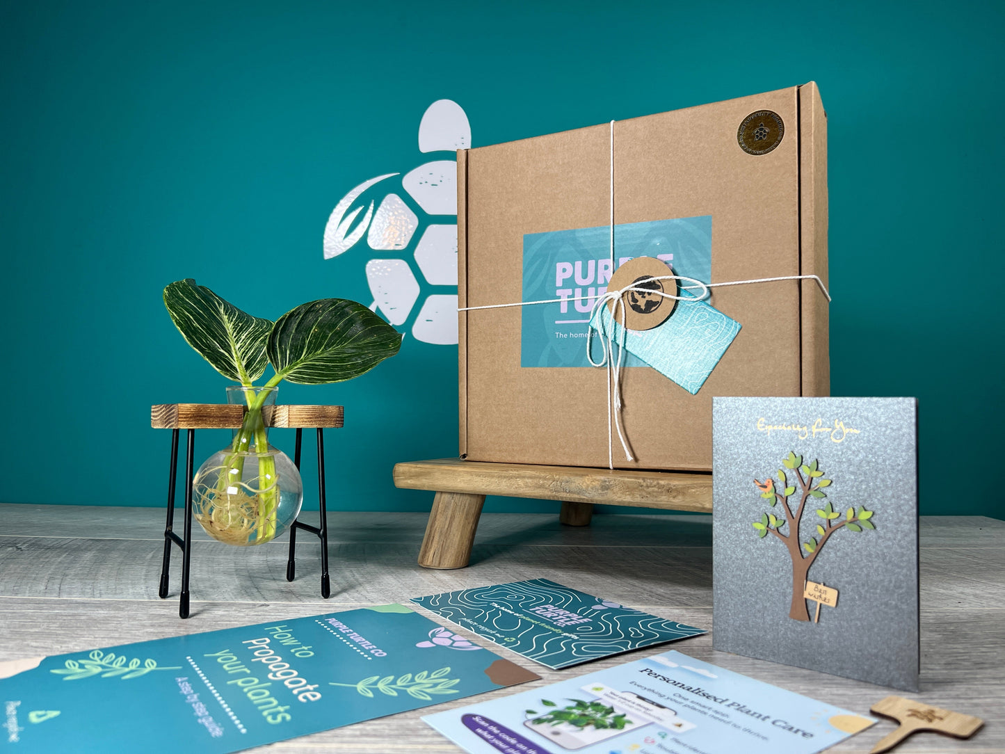 Plant Propagation Gift Set #3