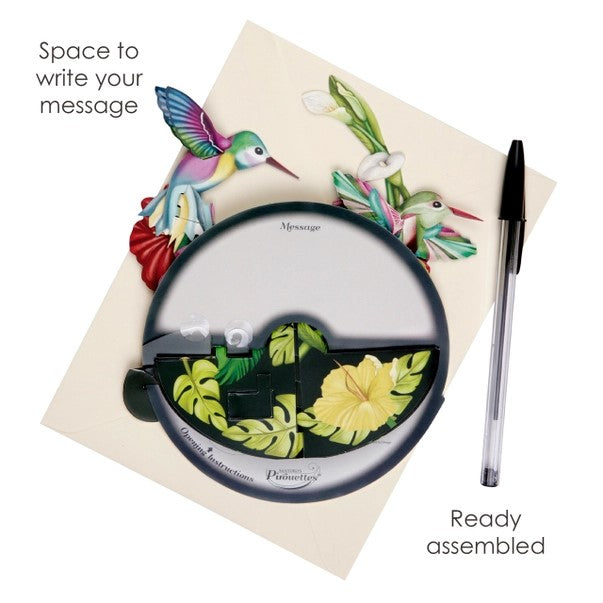 Pirouettes Card - Hummingbirds