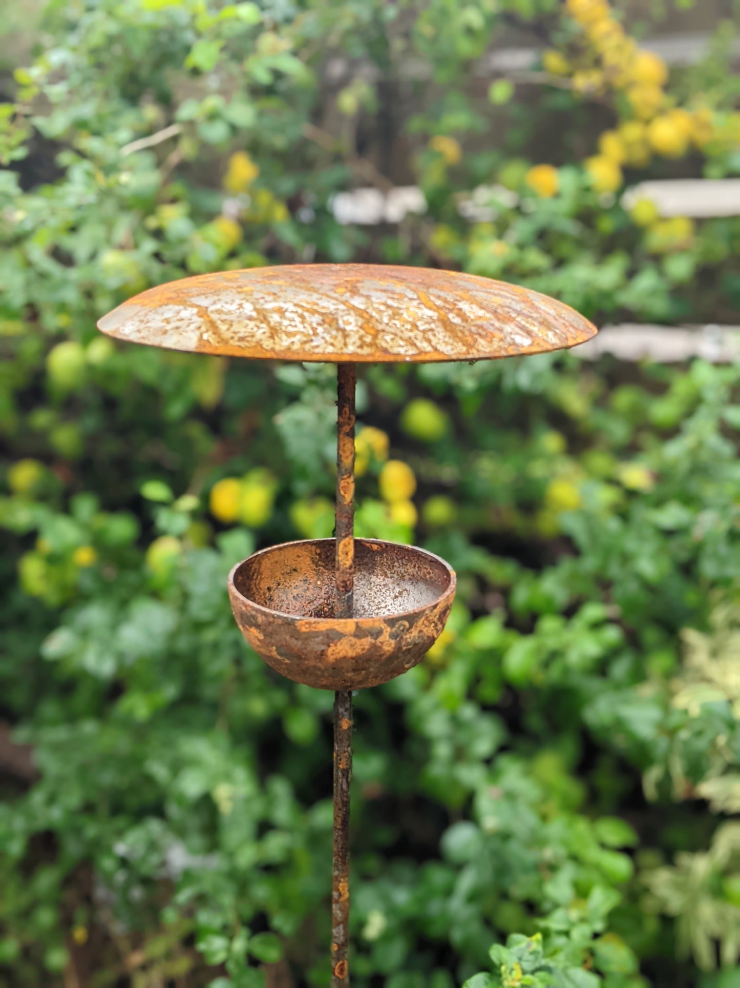 Rusty Metal Bird Feeding Stake – Steel Garden Bird Feeder