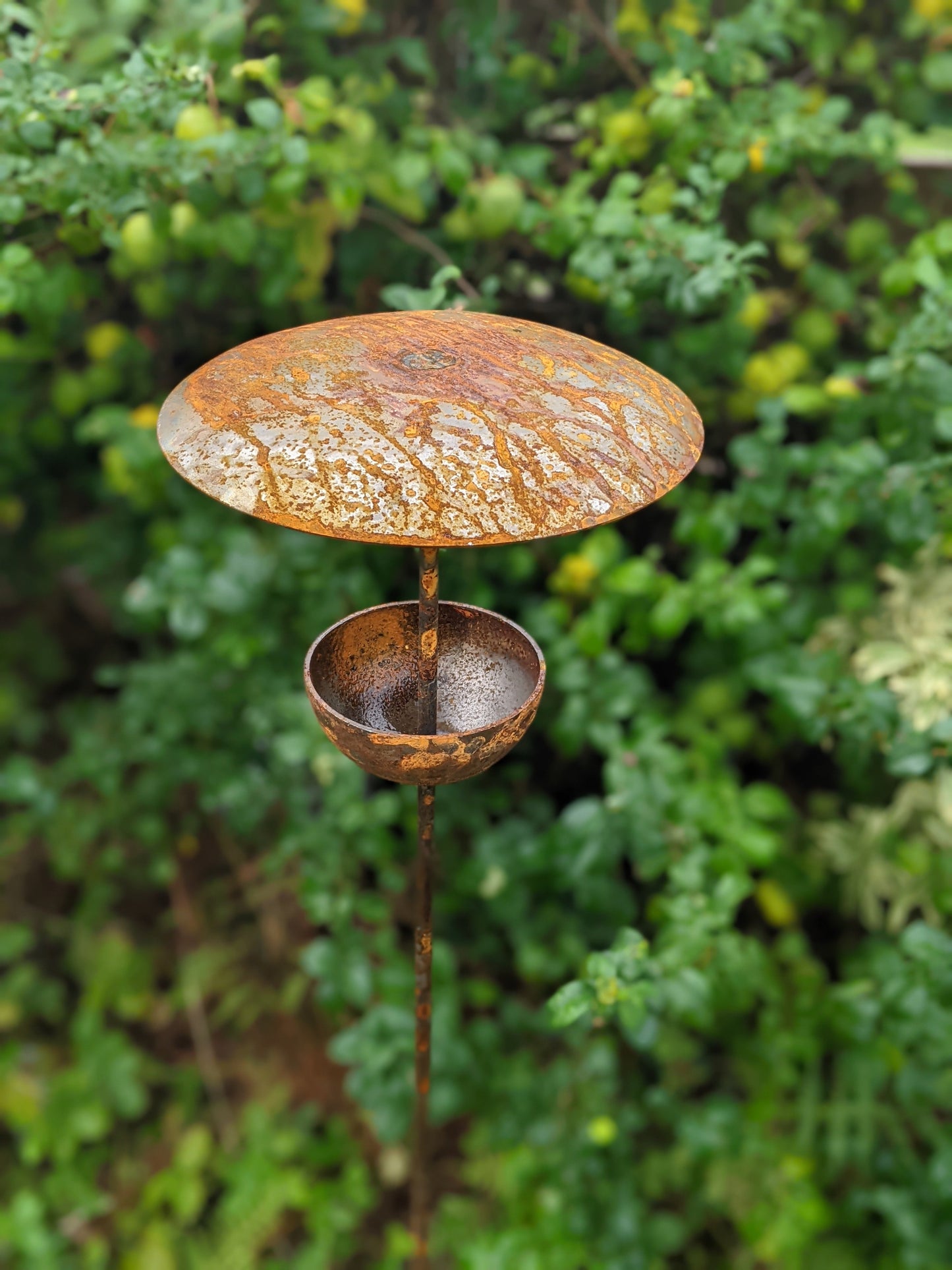 Rusty Metal Bird Feeding Stake – Steel Garden Bird Feeder