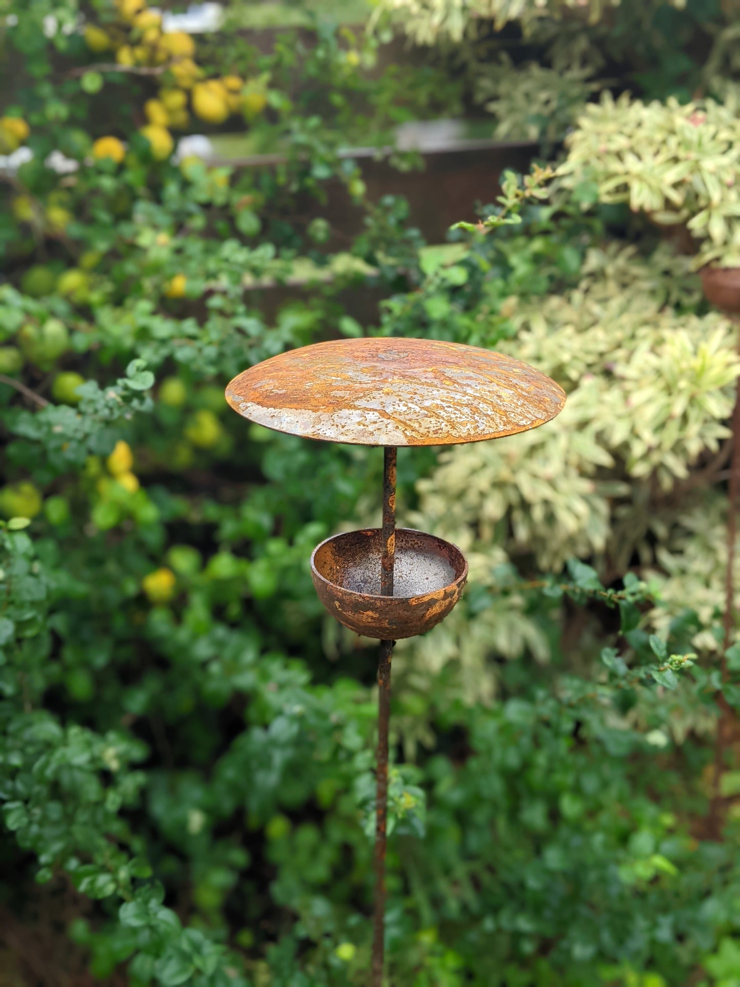 Rusty Metal Bird Feeding Stake – Steel Garden Bird Feeder