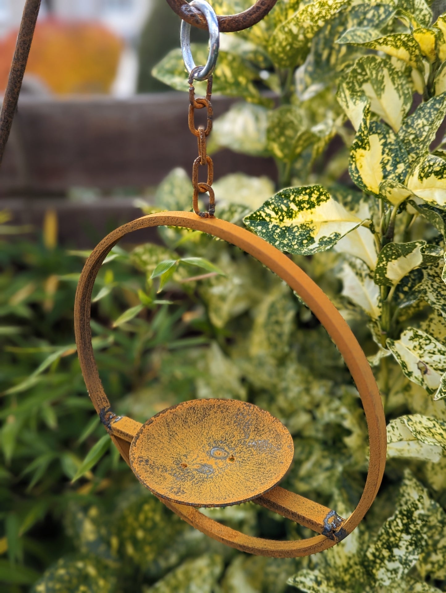 Rusty Metal Hanging Bird Feeder Platform Ring