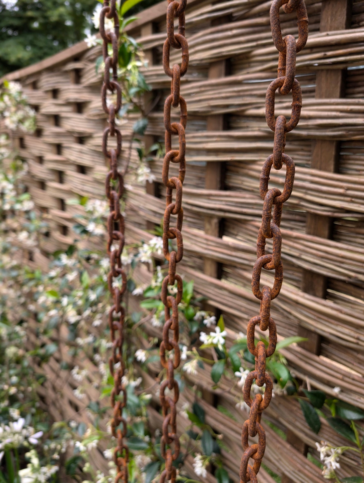 Rusty Rain Chain