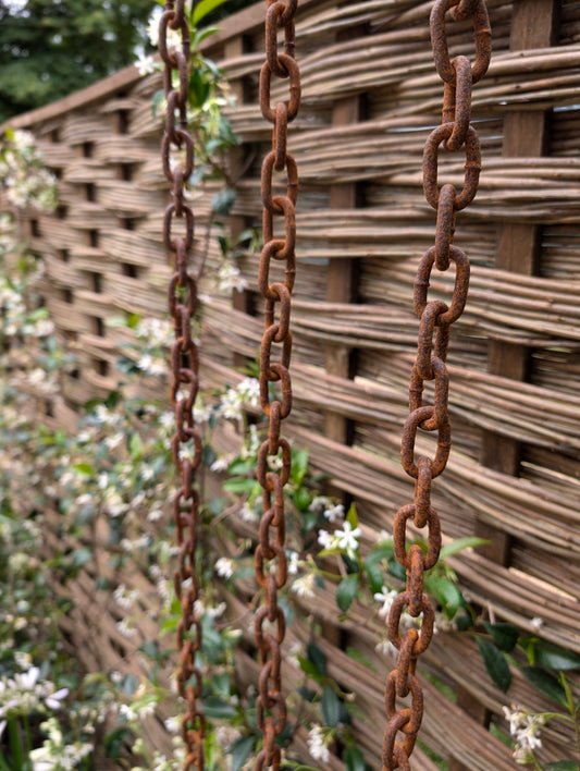 Rusty Rain Chain