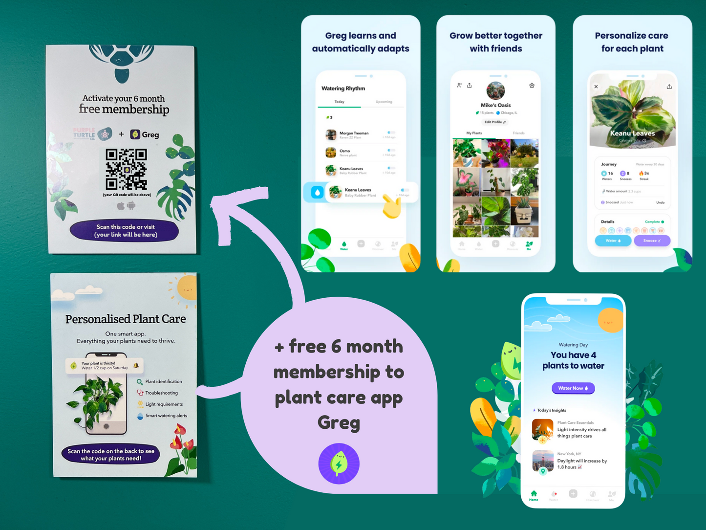 Plant Propagation Gift Set #1