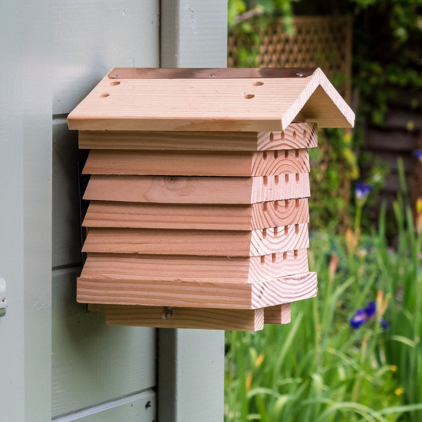 Green Feathers Solitary Bee Hive