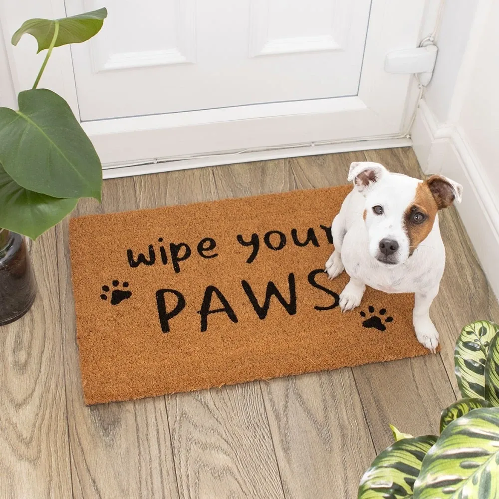 NATURAL WIPE YOUR PAWS DOORMAT