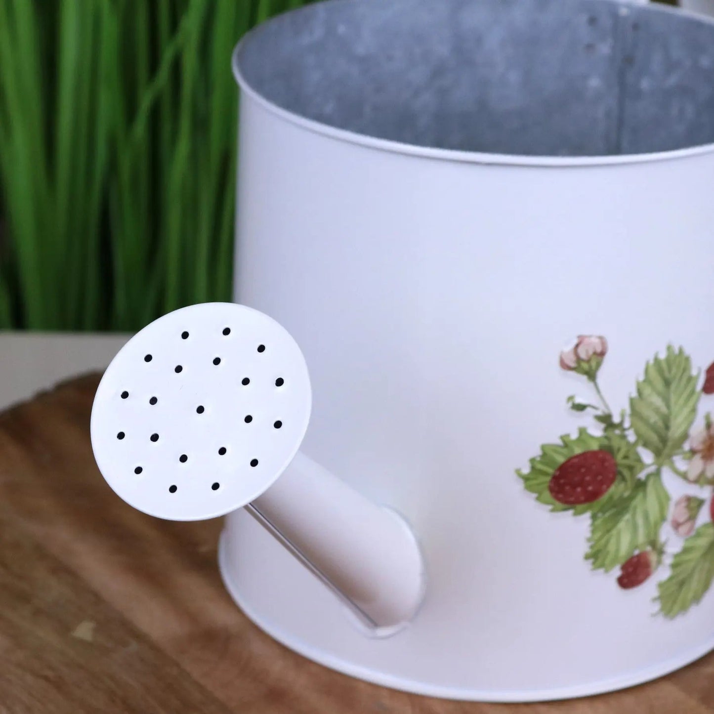 Thaniya Strawberry Field Watering Can Planter by Maravi