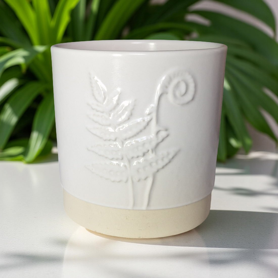 Ralph's Orchard 3-Wick Candle in White Ceramic Fern Pot