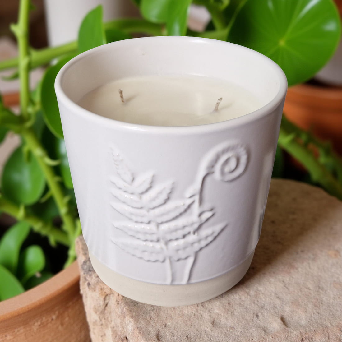 Ralph's Orchard 3-Wick Candle in White Ceramic Fern Pot