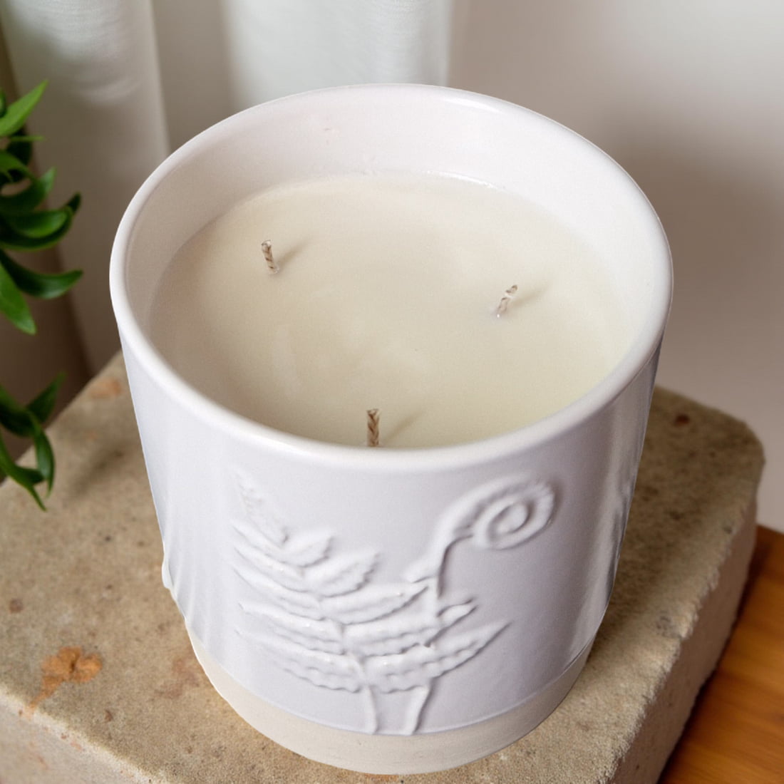 Ralph's Orchard 3-Wick Candle in White Ceramic Fern Pot