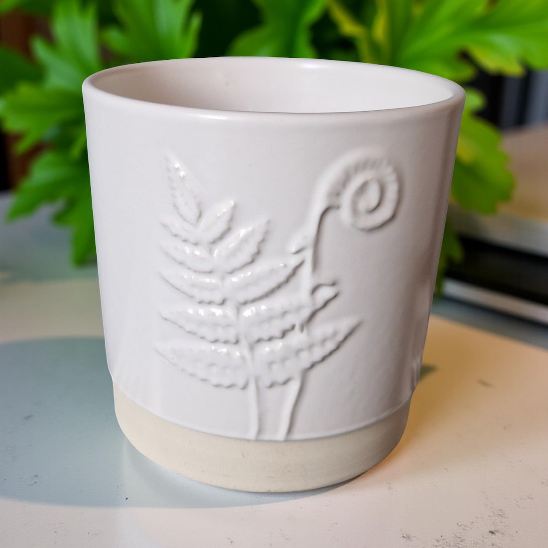 Ralph's Orchard 3-Wick Candle in White Ceramic Fern Pot
