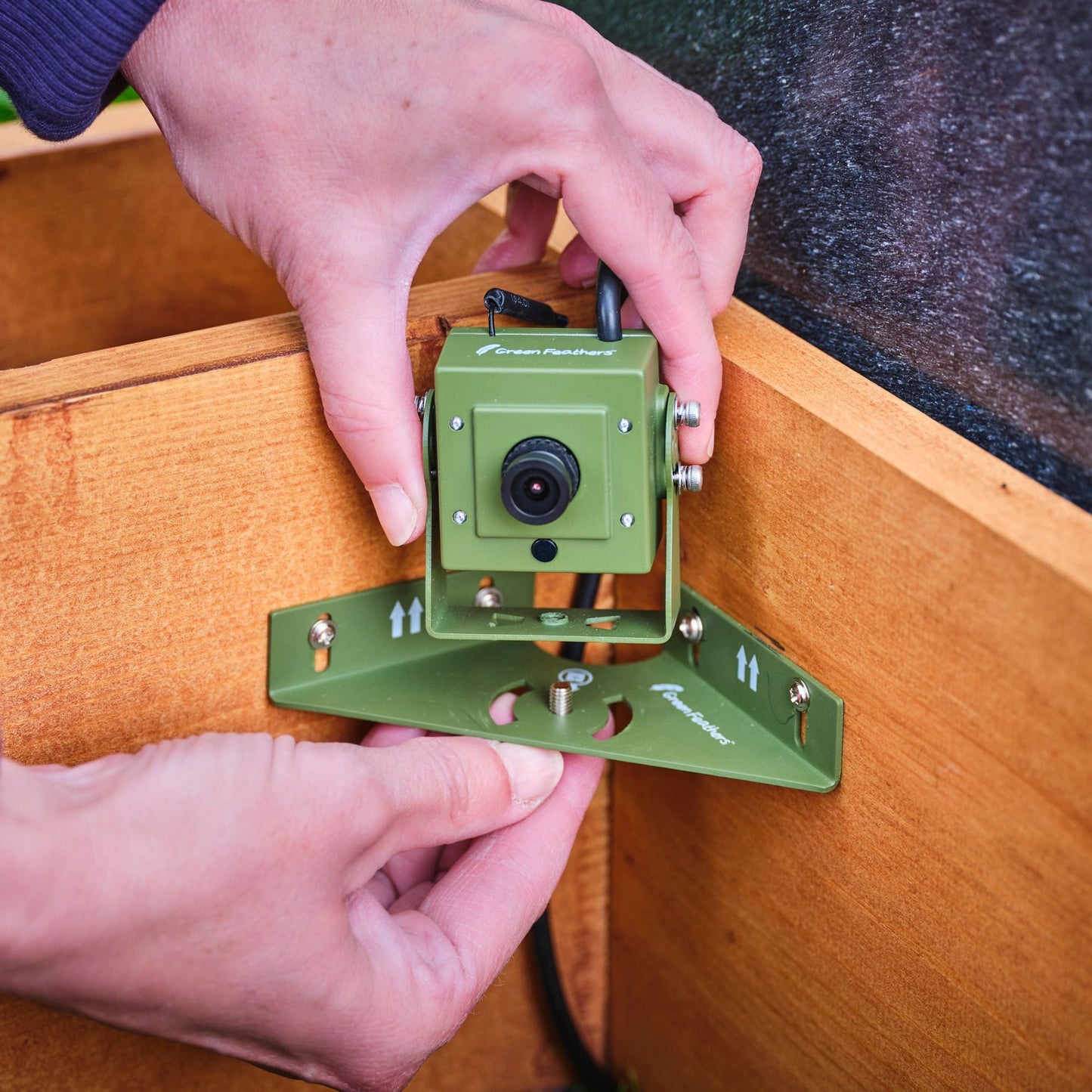 Green Feathers WiFi Hedgehog Box HD Camera Pack