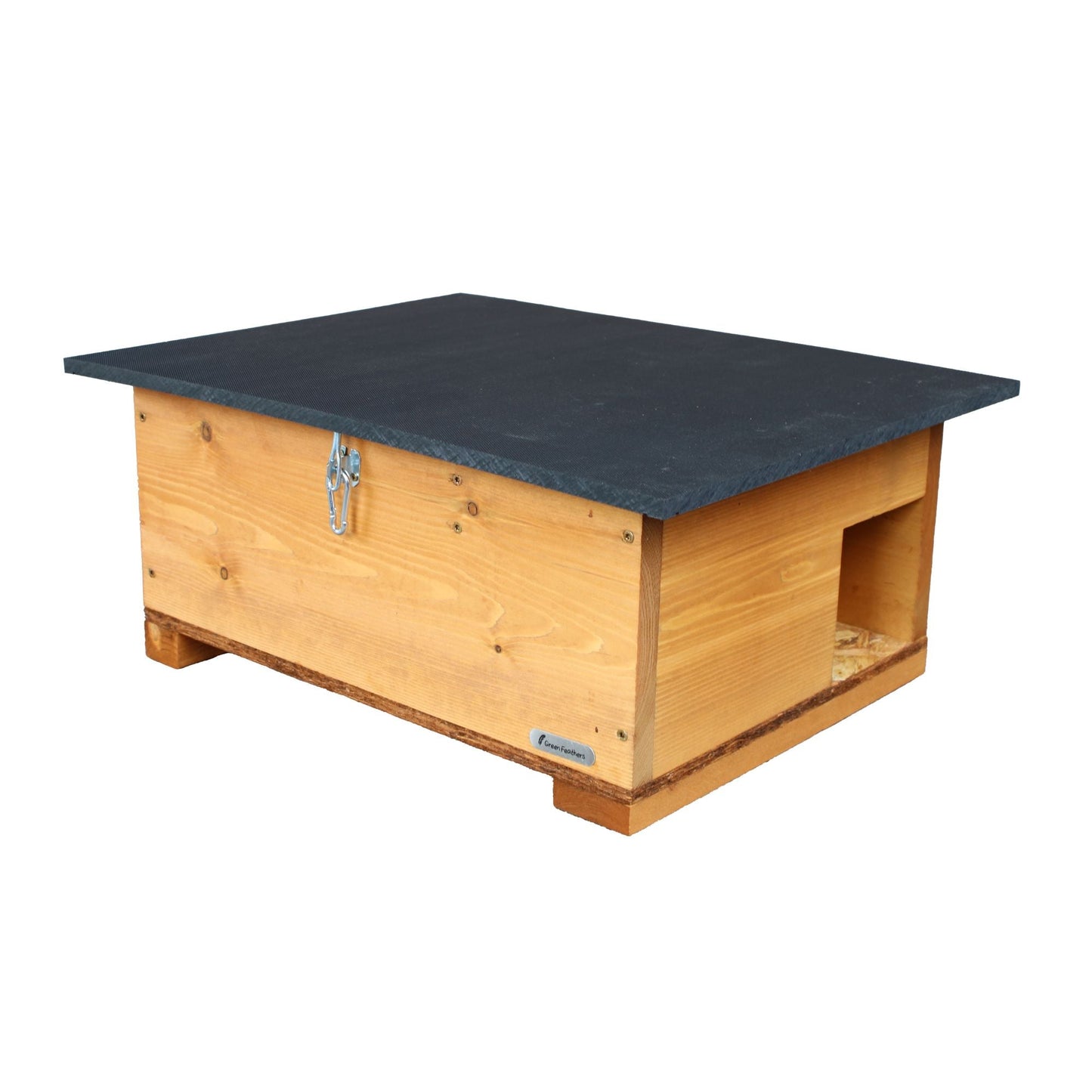 Green Feathers WiFi Hedgehog Box HD Camera Pack