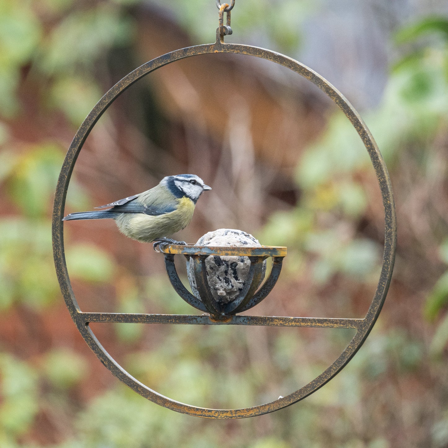 Rusty Metal Hanging Fat Ball Bird Feeder – Steel Garden Feeder
