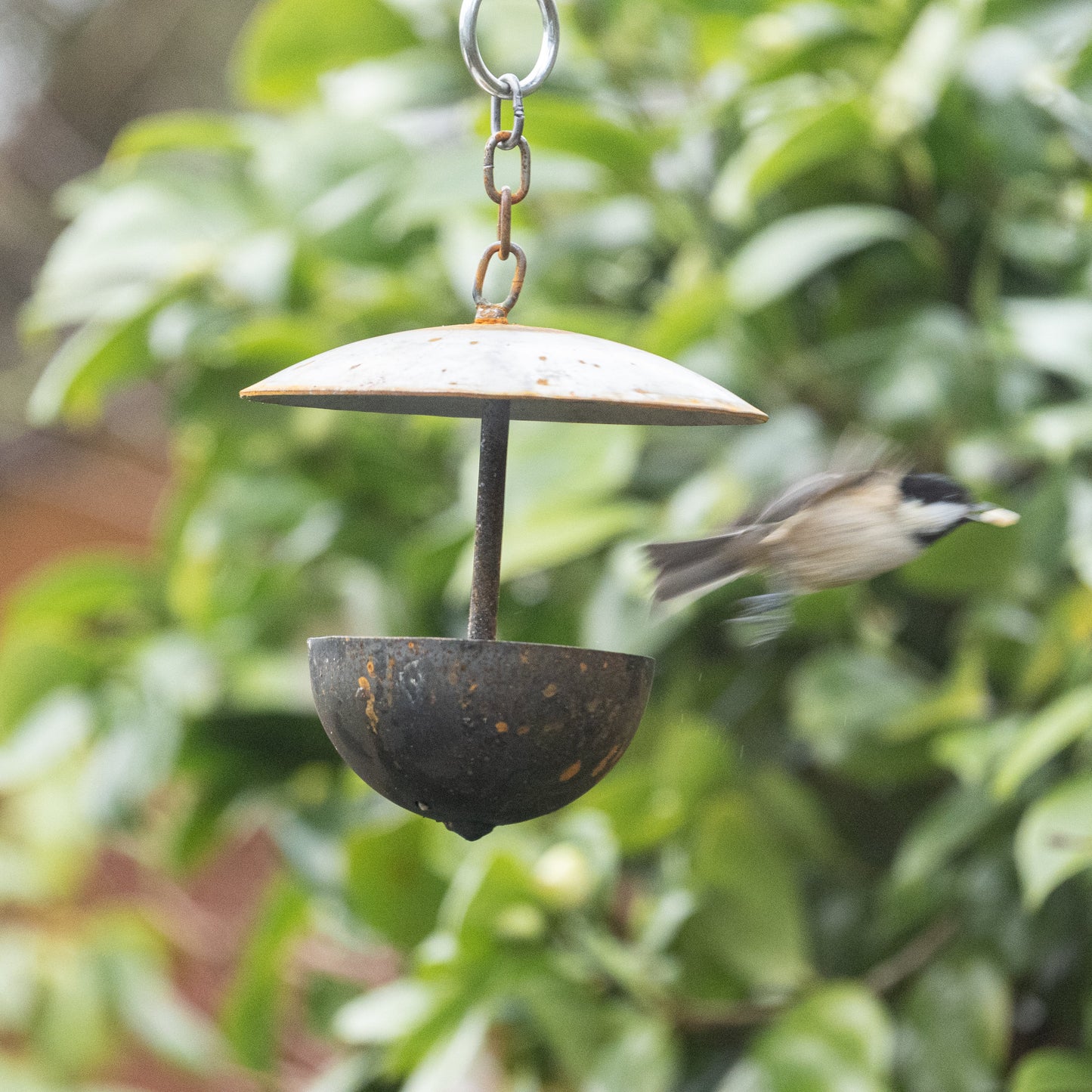 Outdoor Hanging Bird Feeder – Rustic Metal Garden Feeder