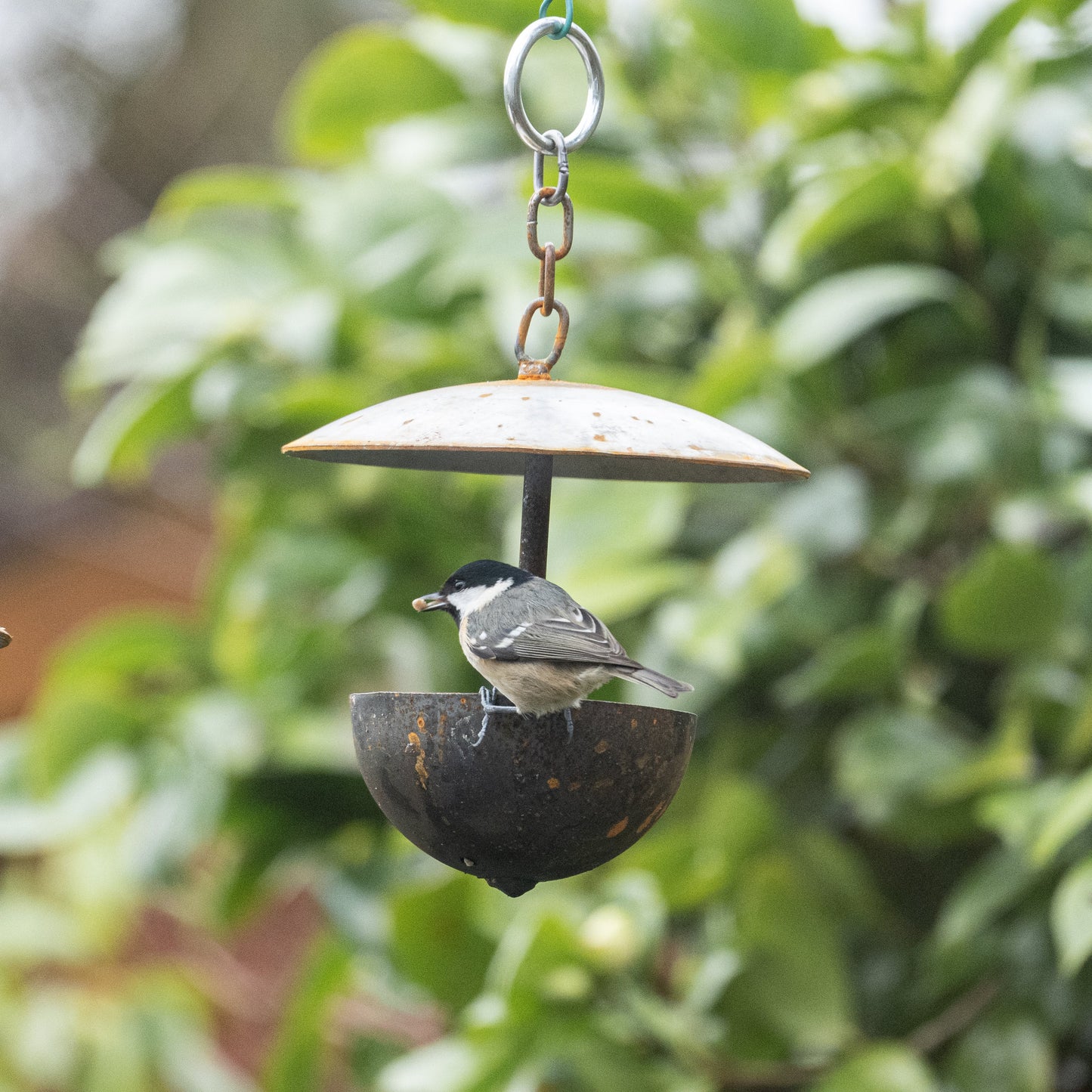 Outdoor Hanging Bird Feeder – Rustic Metal Garden Feeder