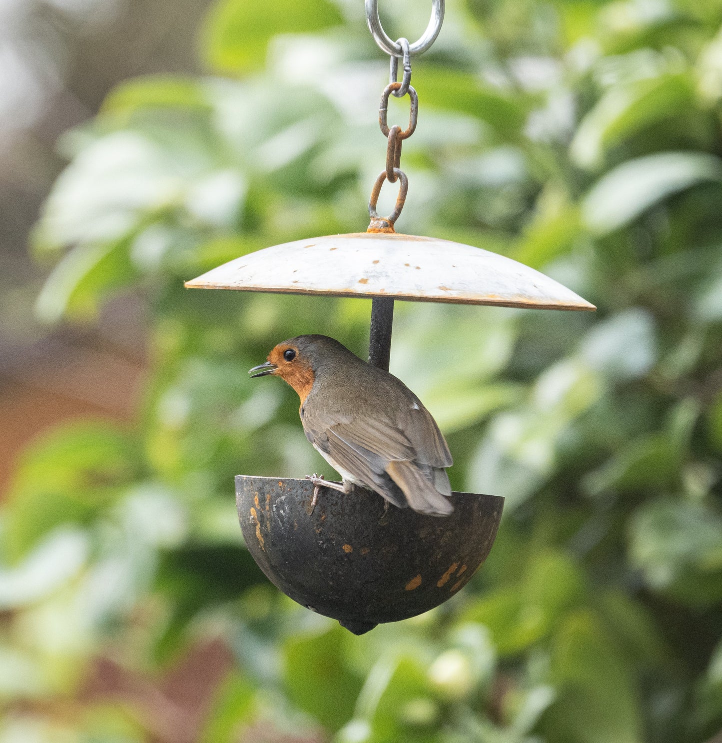 Outdoor Hanging Bird Feeder – Rustic Metal Garden Feeder
