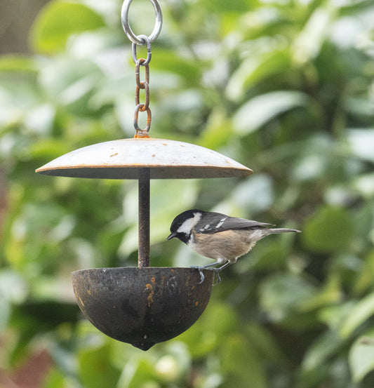 Outdoor Hanging Bird Feeder – Rustic Metal Garden Feeder