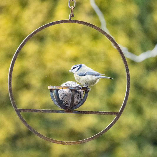 Rusty Metal Hanging Fat Ball Bird Feeder – Steel Garden Feeder