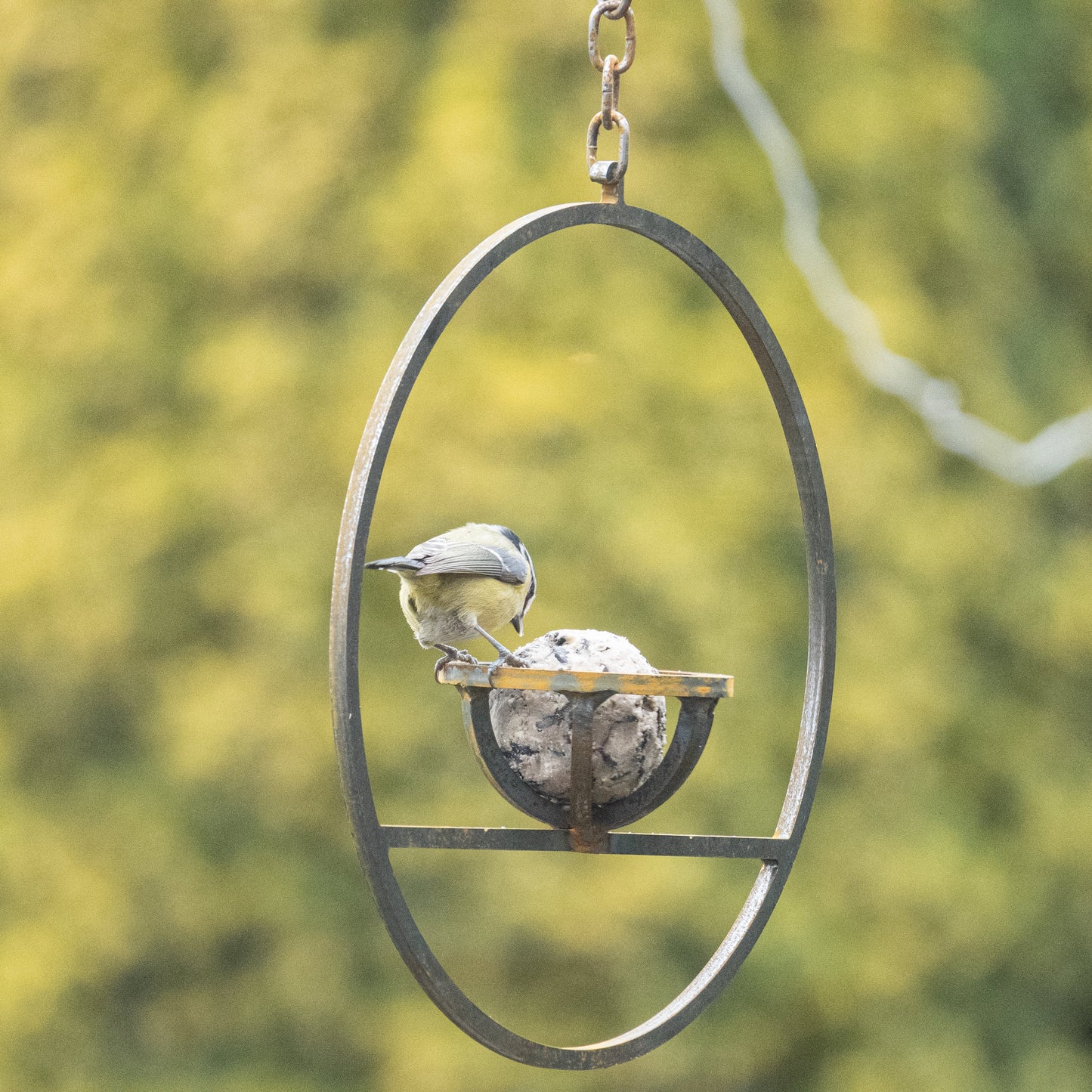 Rusty Metal Hanging Fat Ball Bird Feeder – Steel Garden Feeder