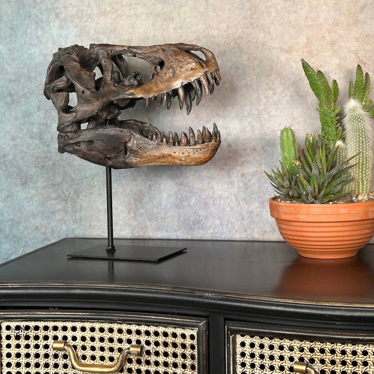 Bentley & Bo T-Rex skull sculpture displayed on a shelf with books and plants