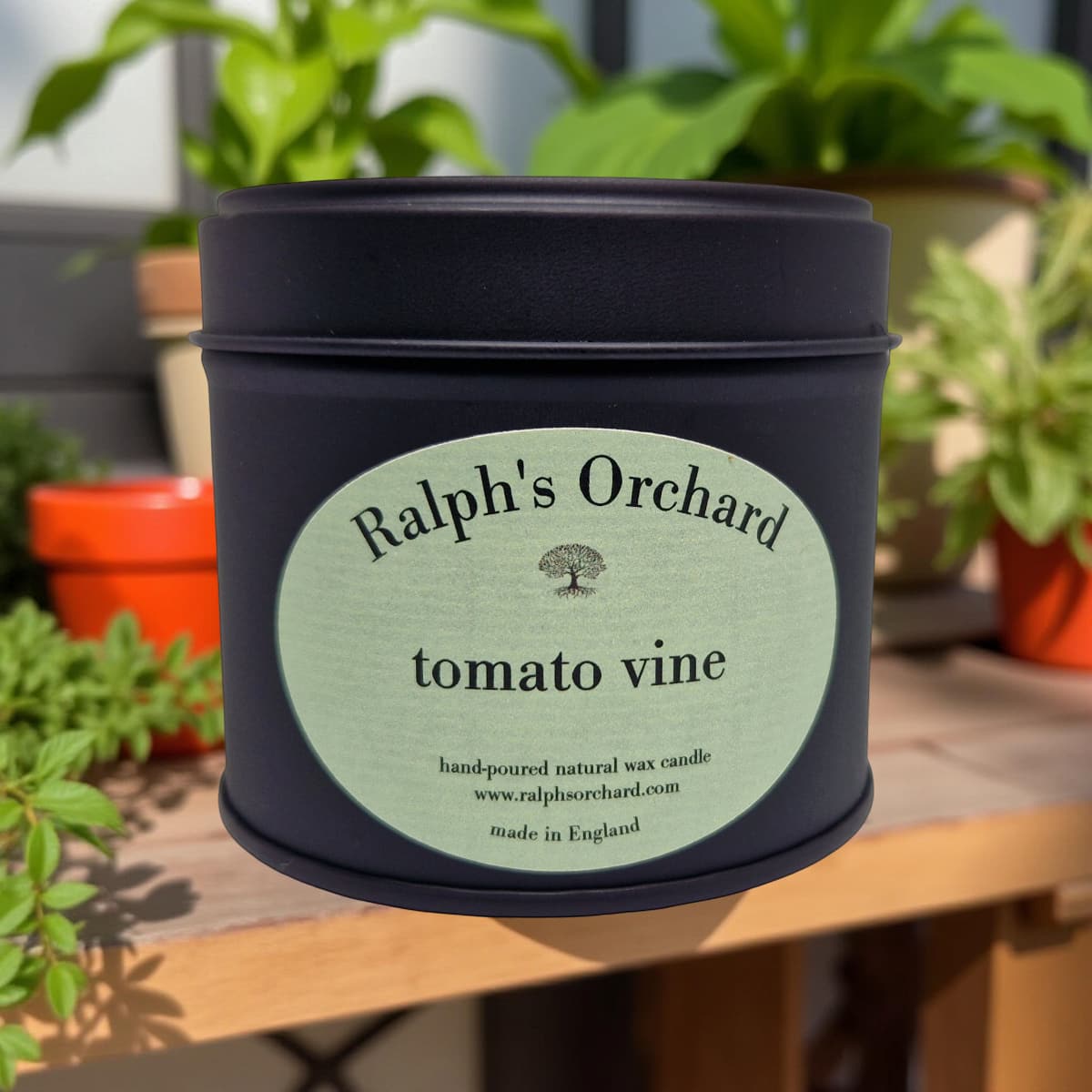 Ralph's Orchard Tomato Vine Candle