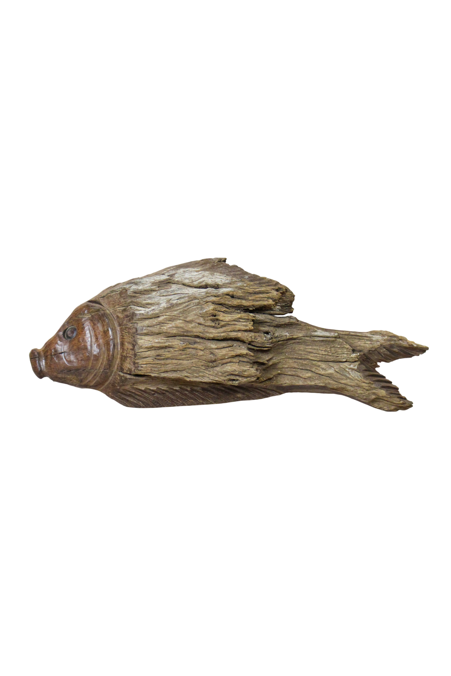 Hand-carved driftwood fish wall art 116.12 shown in full with its natural rustic shape and finish