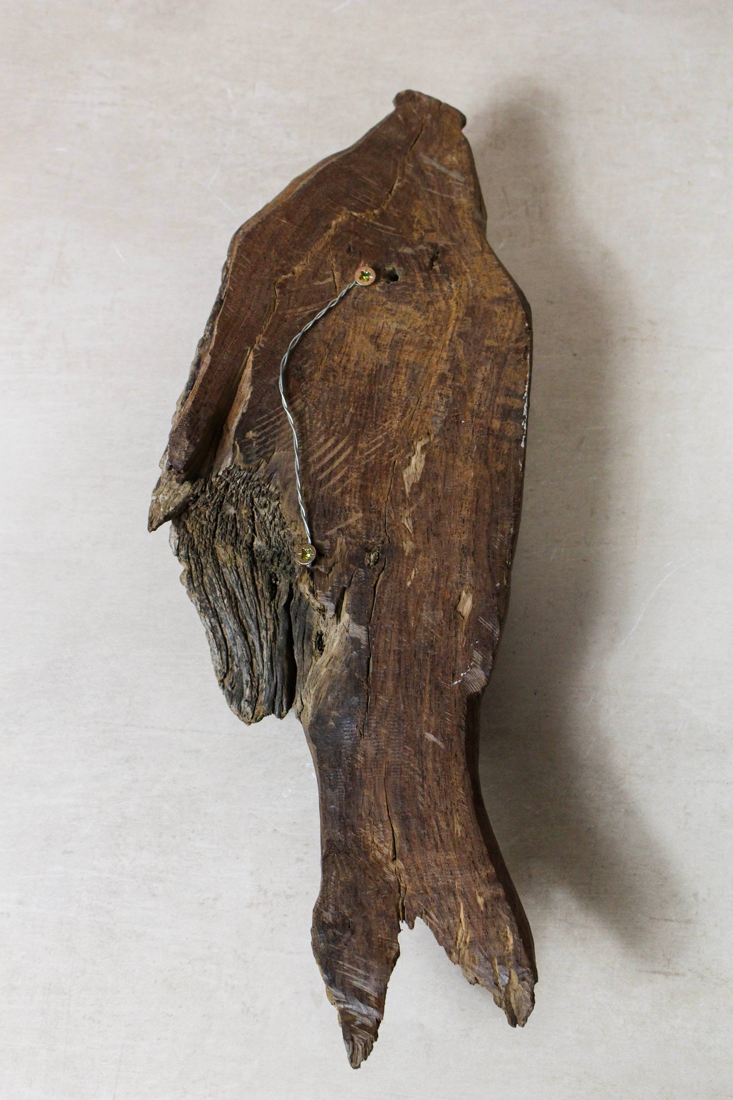 Hand-carved driftwood fish wall art 116.12 viewed from the rear showing the natural reclaimed wood
