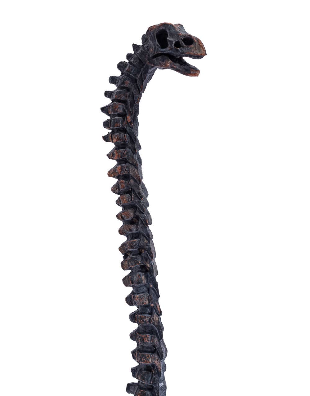 Brachiosaurus Dinosaur Skeleton Ornament showing the full long-necked skeletal design from an alternative angle