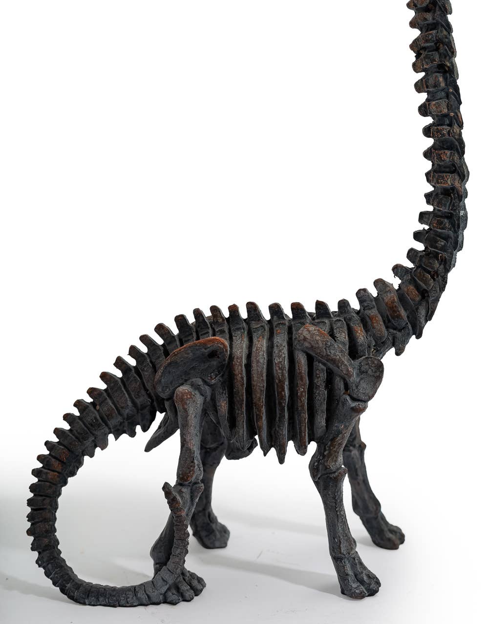 Brachiosaurus Dinosaur Skeleton Ornament close-up showing the detailed head, neck and skeletal texture