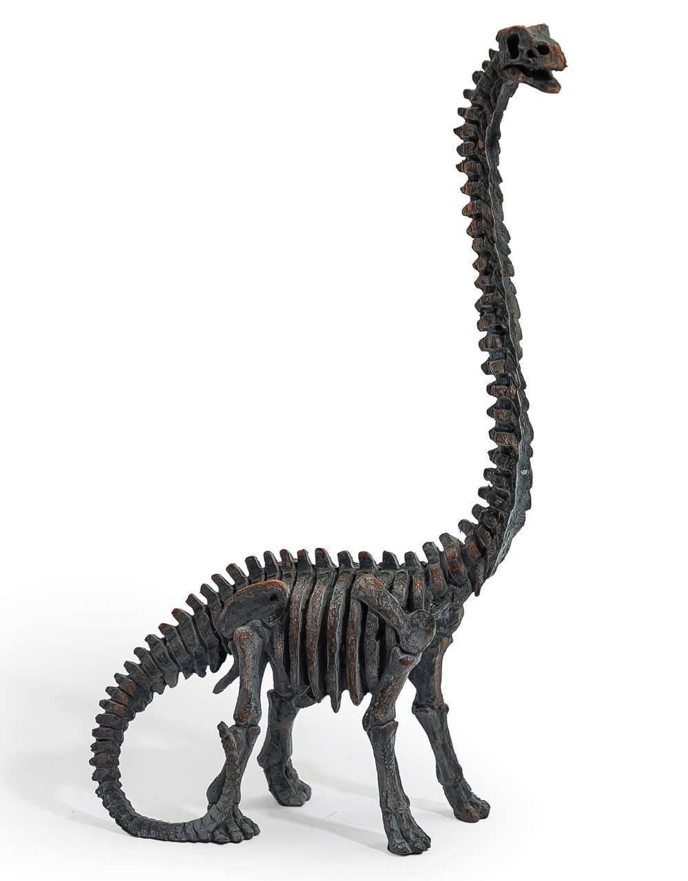 Brachiosaurus Dinosaur Skeleton Ornament with long neck and dark aged finish shown from the side
