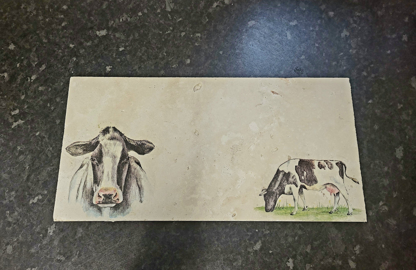 Large Stone Trivet / worktop saver / Higland cow