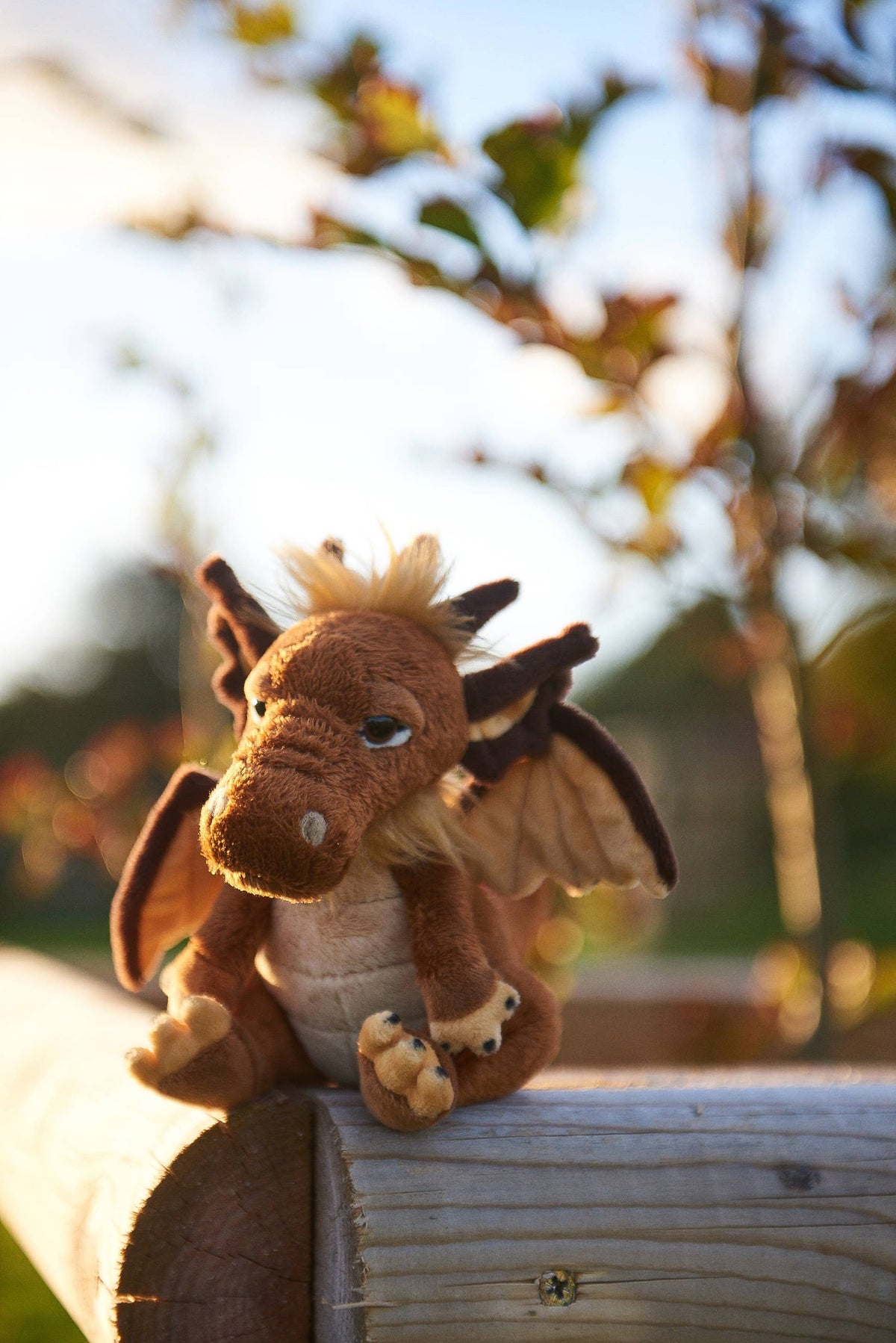 Charlie Bears Cuddle Cub Lantern brown plush dragon outdoors