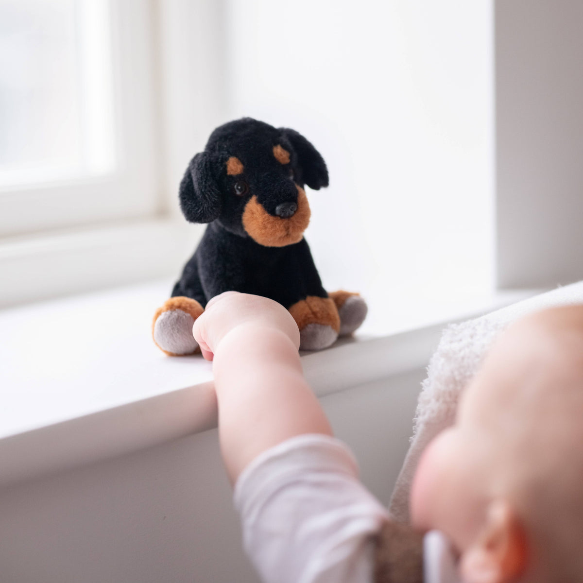 Charlie Bears Cuddle Cub Rottie Dog pocket-sized plush puppy held in a hand