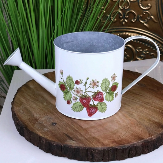 Thaniya Strawberry Field Watering Can Planter by Maravi