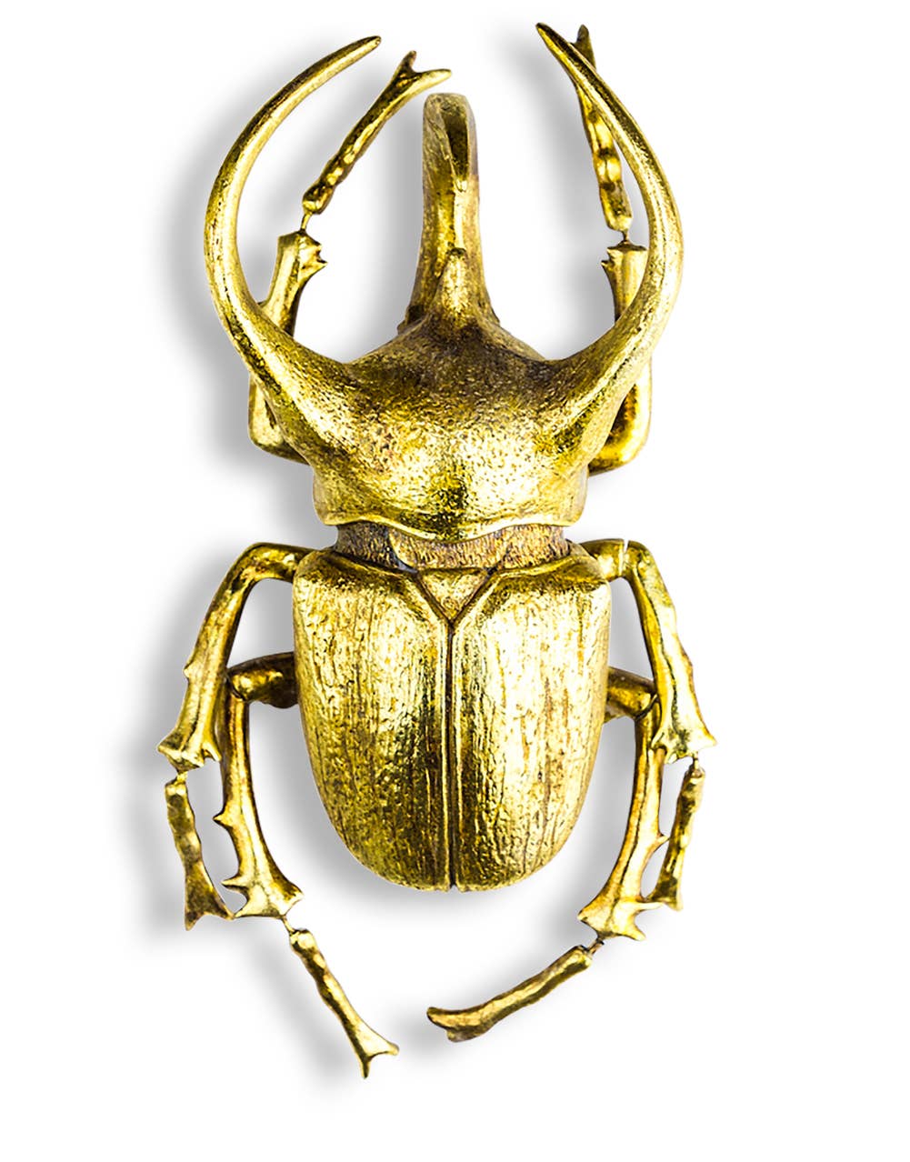Extra Large Gold Beetle Wall Decor shown from the front with detailed pincers, body and legs