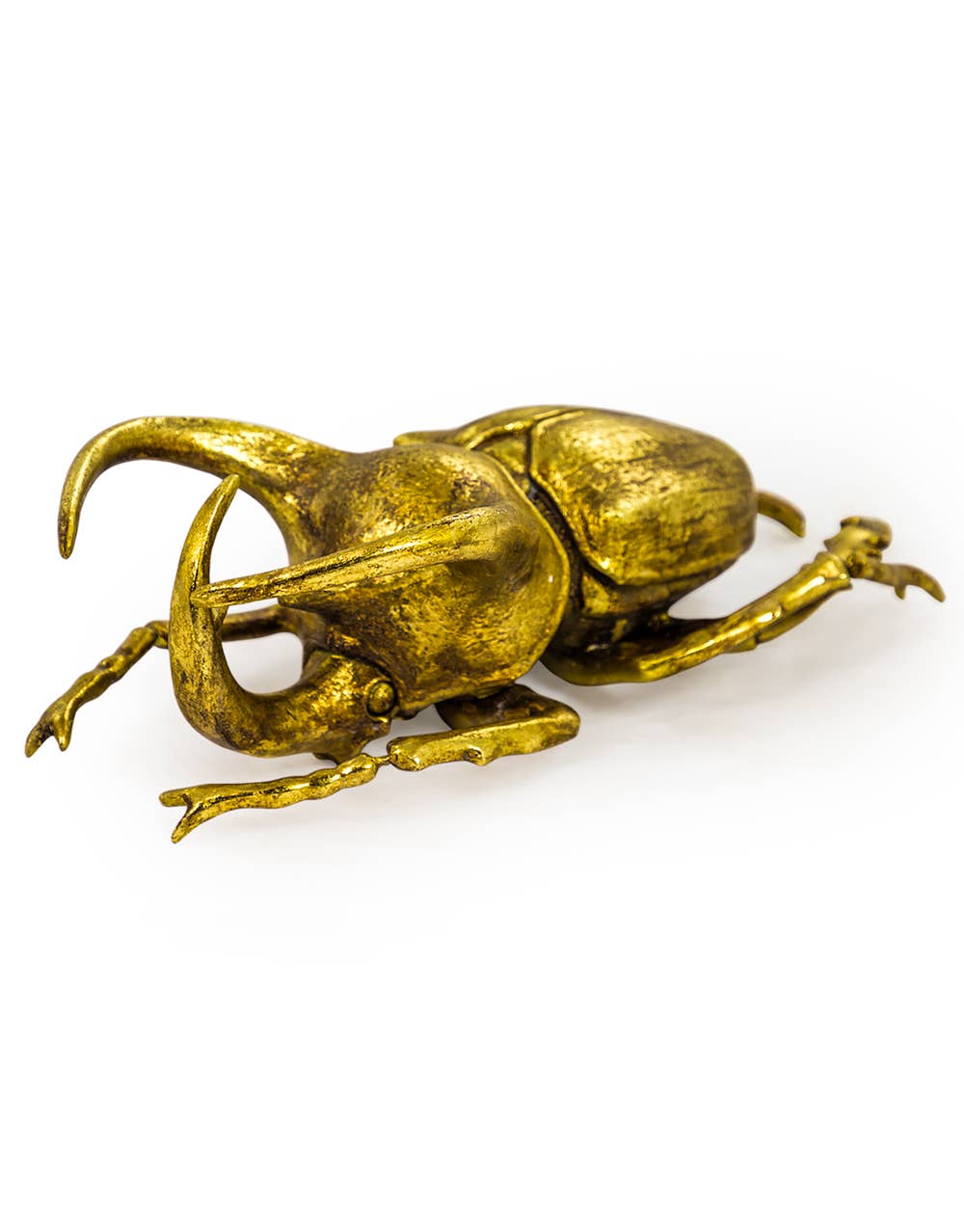Extra Large Gold Beetle Wall Decor shown from the side highlighting its three-dimensional shape and antiqued finish