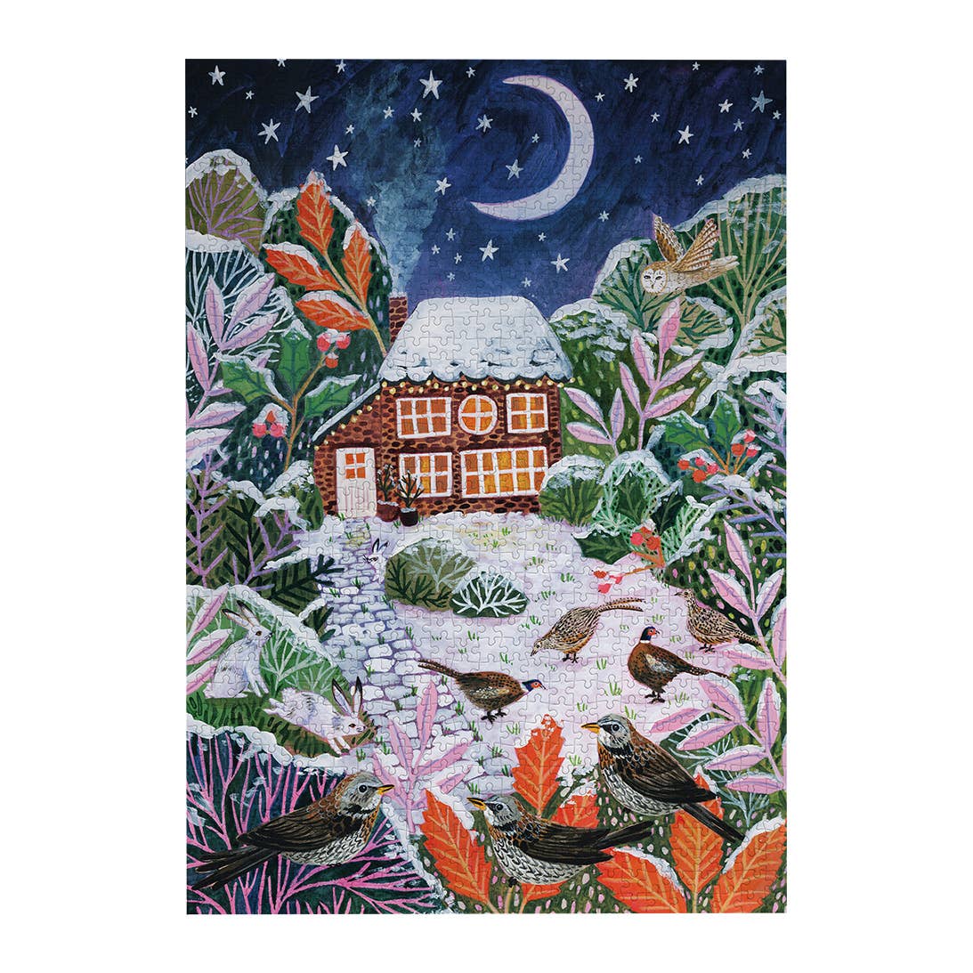 Frosty Fauna winter woodland illustration by Lee Foster-Wilson, showing cottages beneath a crescent moon with colourful trees and snowy scenery.