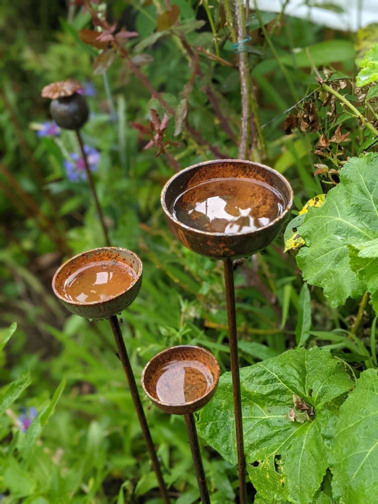 Rain Catcher Plant Support – Rustic Metal Garden Ornament