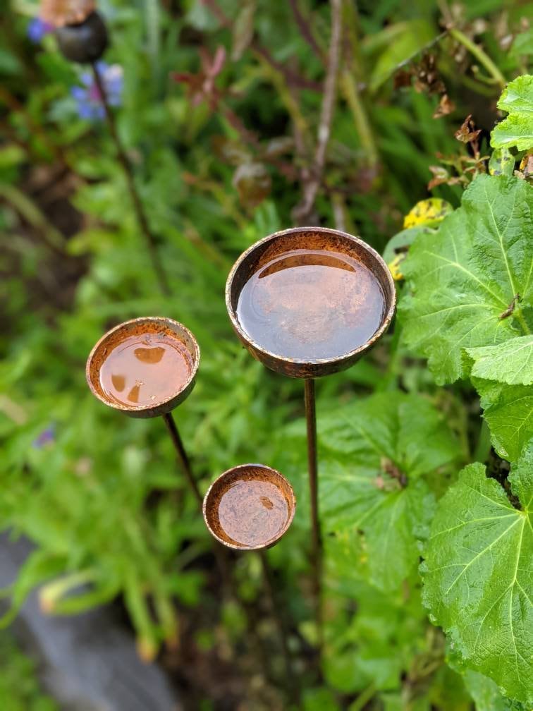 Rain Catcher Plant Support – Rustic Metal Garden Ornament