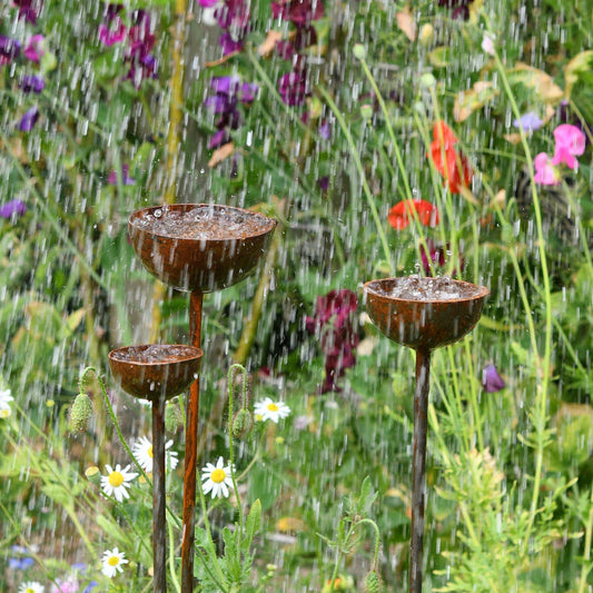 Rain Catcher Plant Support – Rustic Metal Garden Ornament