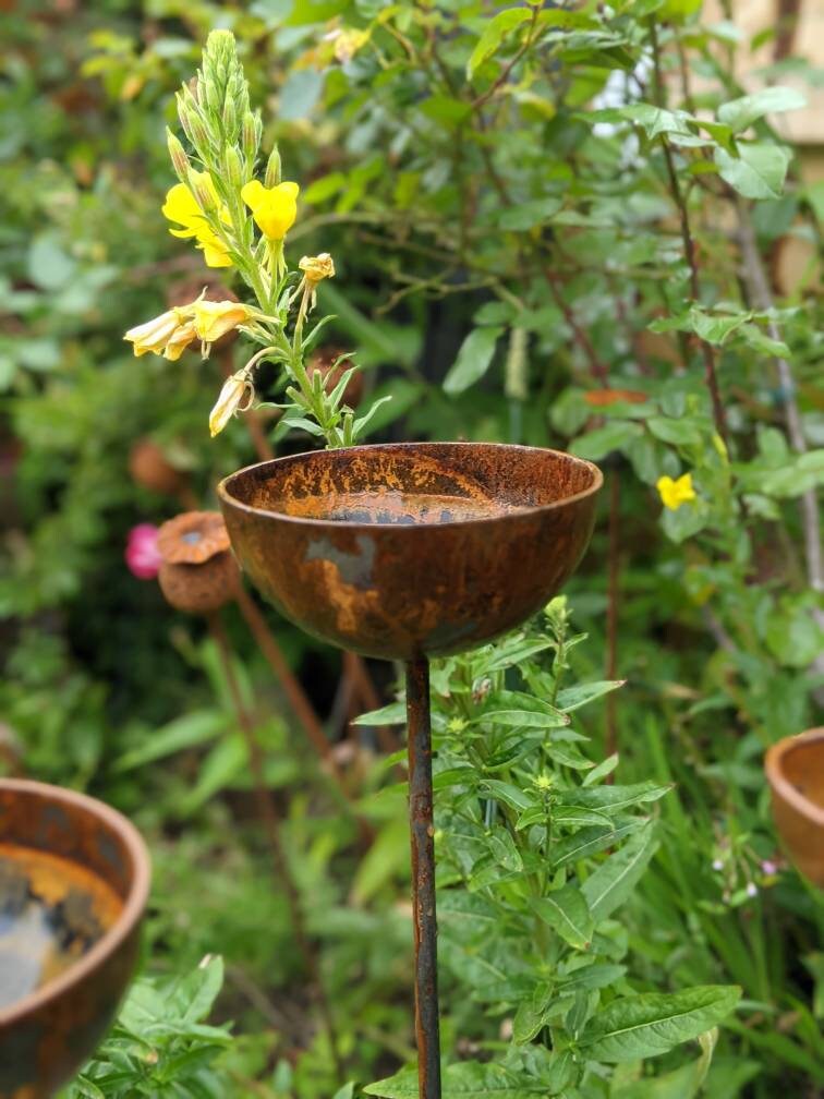 Rain Catcher Plant Support – Rustic Metal Garden Ornament